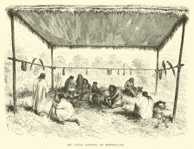 An Antis Ajoupa at Bitiricaya by Edouard Riou
